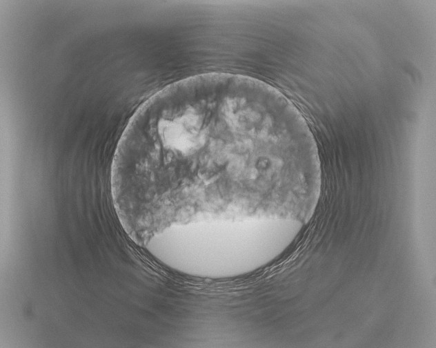 X0000115701106200912101209