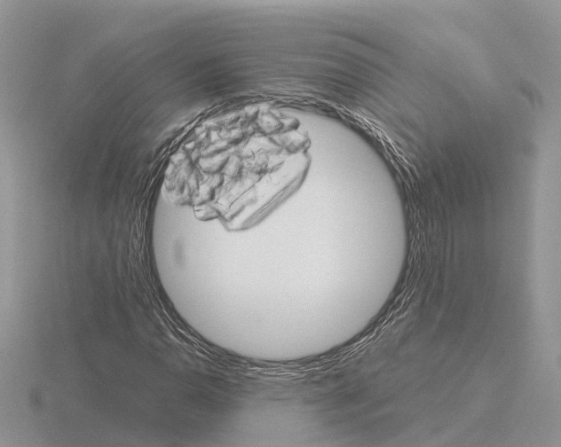 X0000115701110200912101209