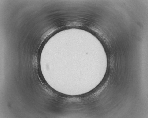 X0000115701113200912101209