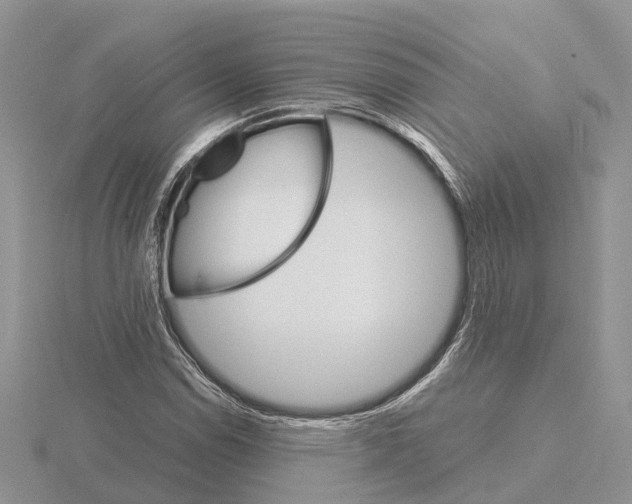 X0000115701114200912101209