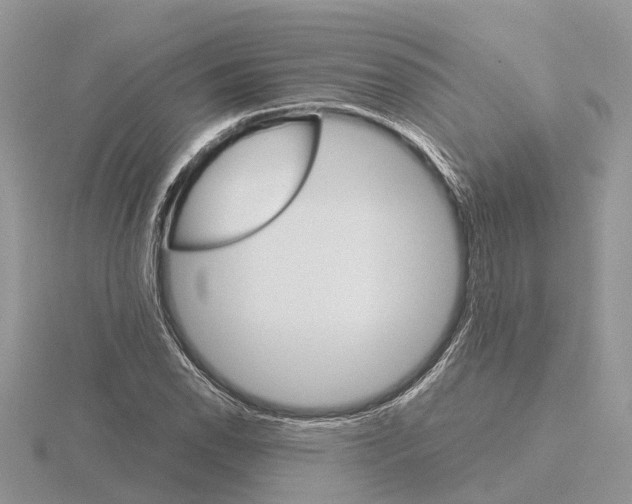 X0000115701118200912101209