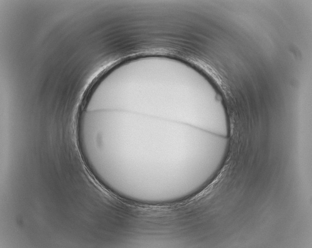 X0000115701119200912101209