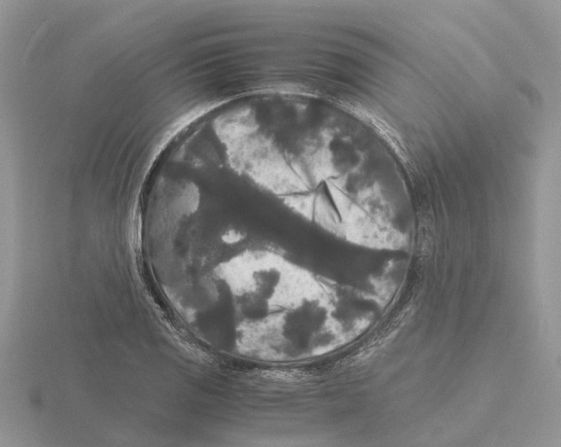 X0000115701125200912101209