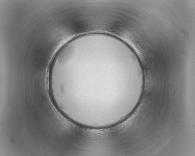 X0000115701126200912101209