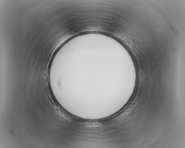 X0000115701129200912101209