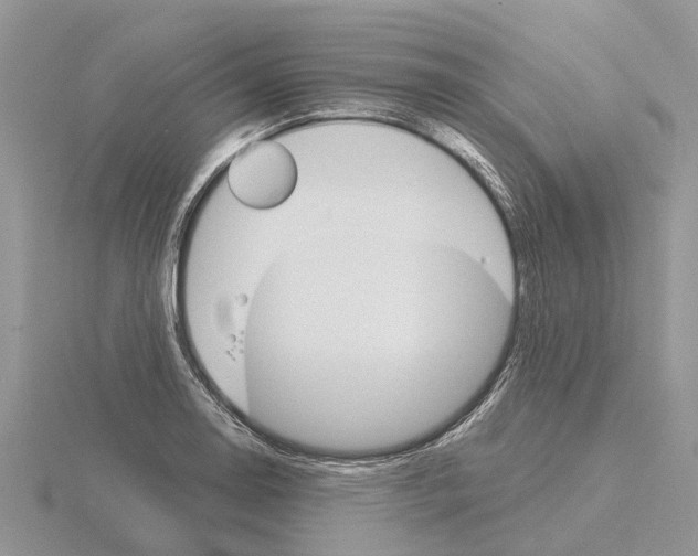 X0000115701130200912101209