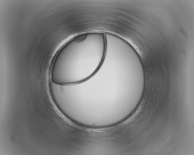 X0000115701134200912101209