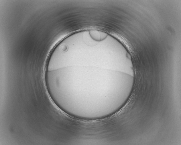 X0000115701135200912101209