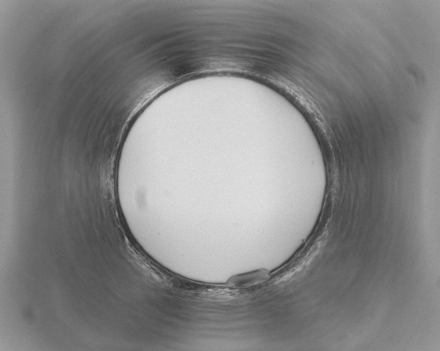 X0000115701137200912101209