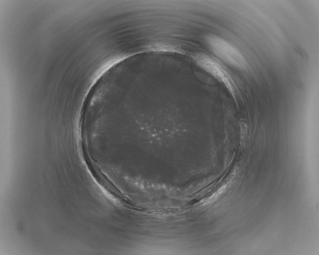 X0000115701141200912101209