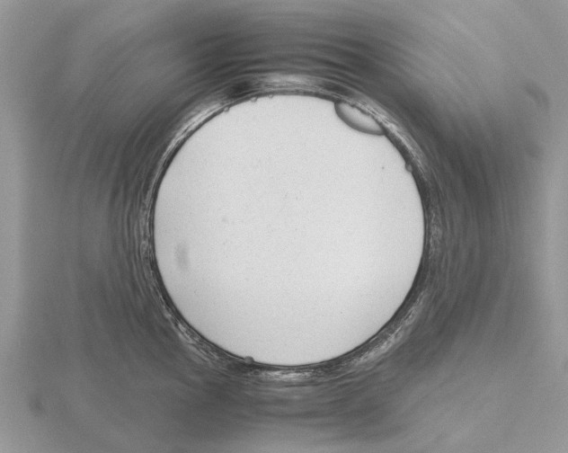 X0000115701145200912101209