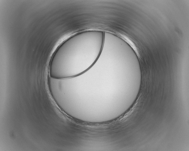 X0000115701146200912101209