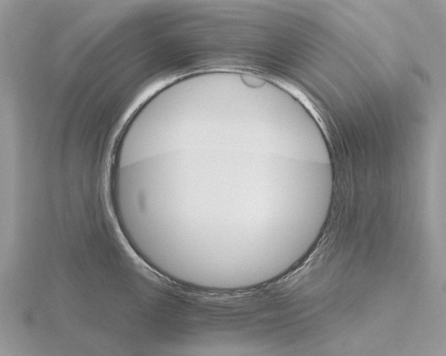 X0000115701147200912101209