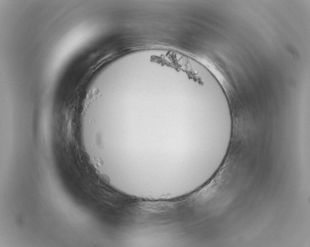 X0000115701150200912101209