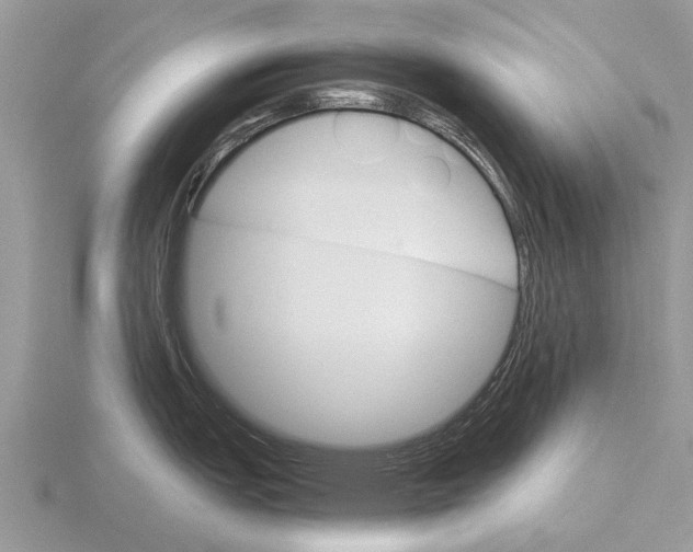 X0000115701151200912101209