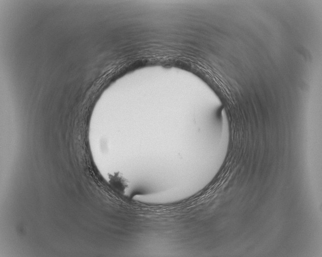 X0000115701153200912101209