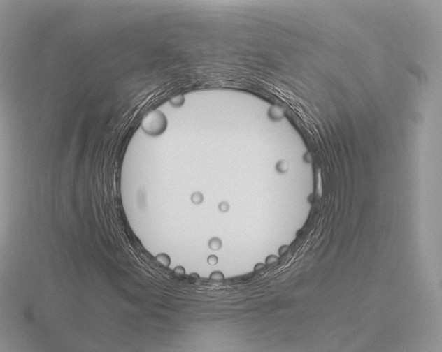 X0000115701155200912101209