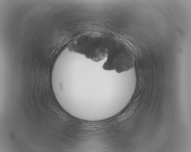 X0000115701156200912101209