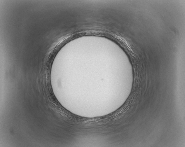 X0000115701159200912101209