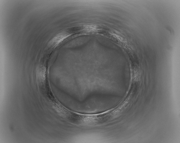 X0000115701161200912101209