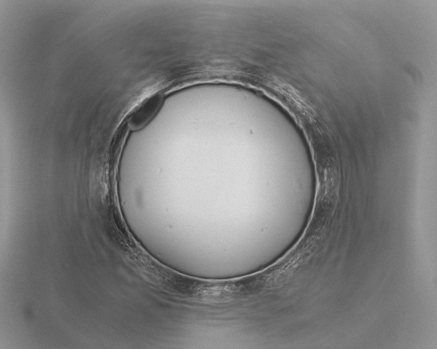 X0000115701165200912101209