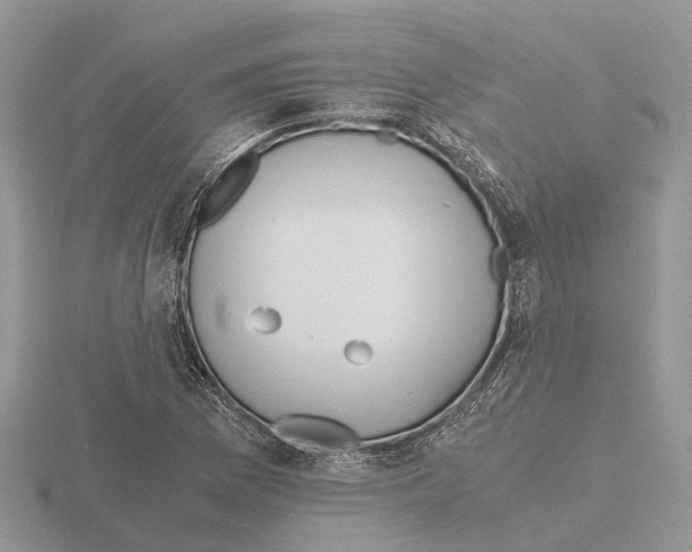 X0000115701169200912101208