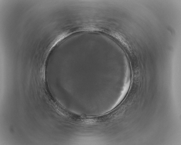 X0000115701173200912101208