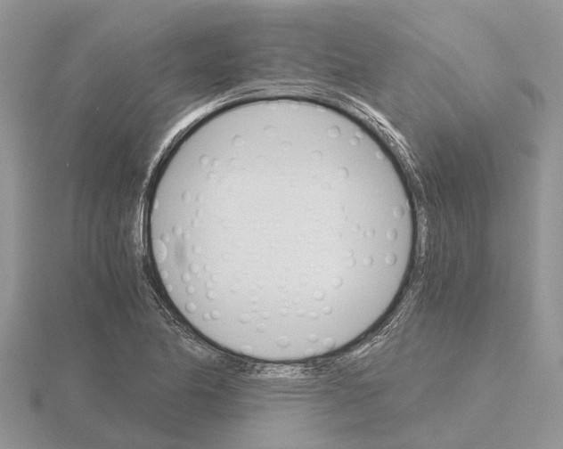 X0000115701174200912101208