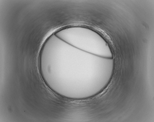 X0000115701175200912101208