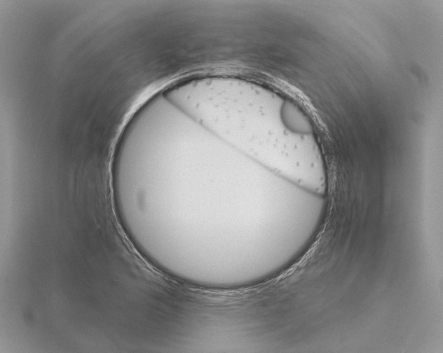 X0000115701176200912101208