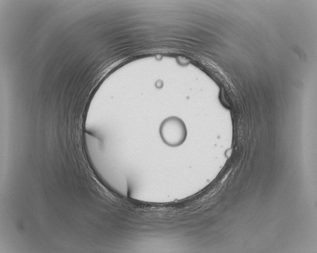 X0000115701177200912101208