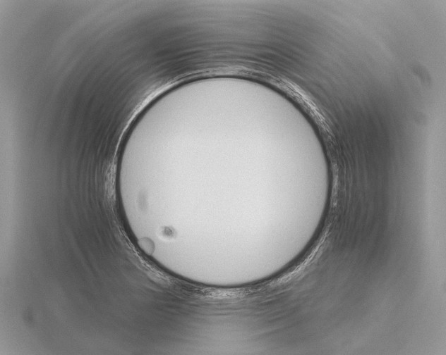 X0000115701178200912101208