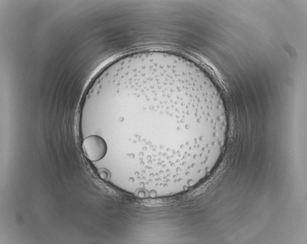 X0000115701182200912101208