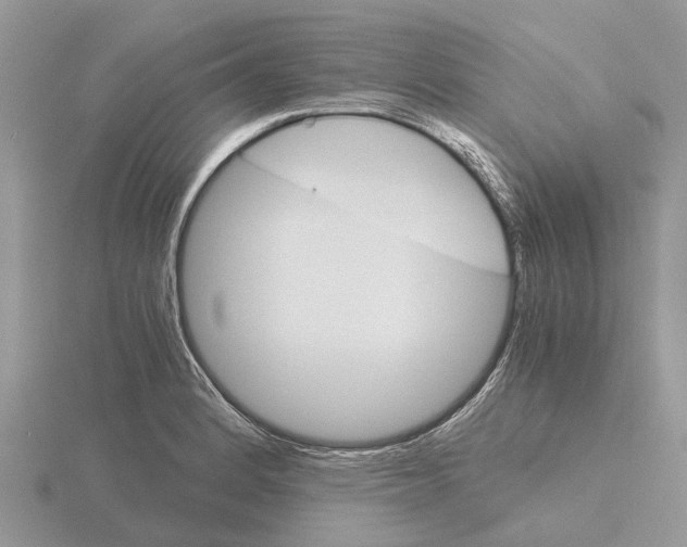 X0000115701184200912101208