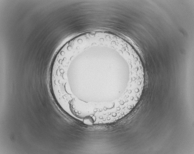 X0000115701187200912101208