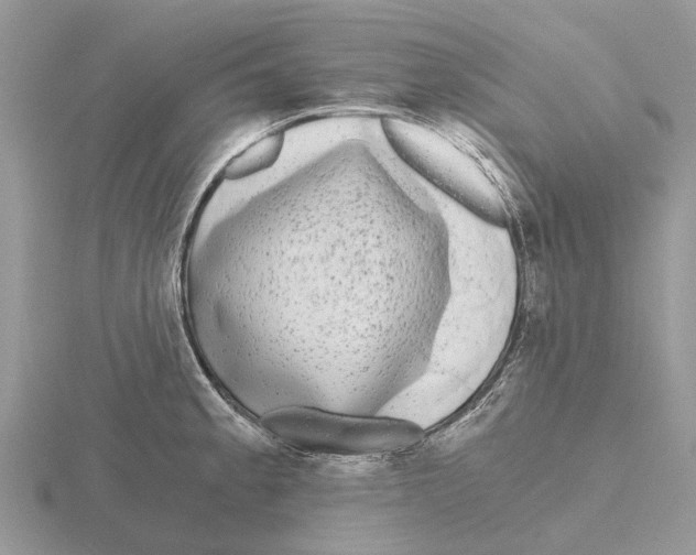 X0000115701189200912101208