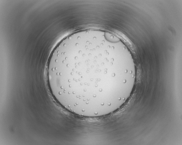 X0000115701190200912101208