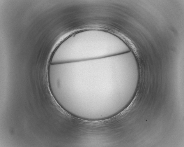 X0000115701192200912101208