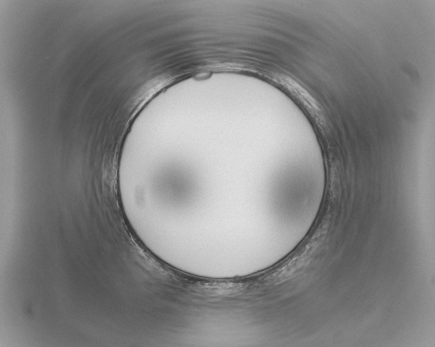 X0000115701193200912101208