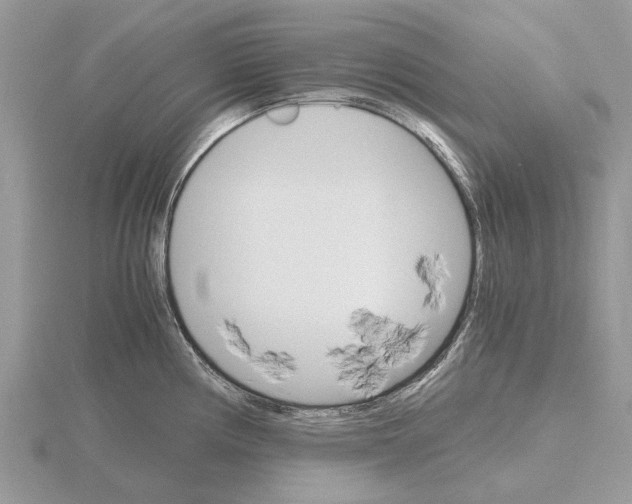 X0000115701194200912101208