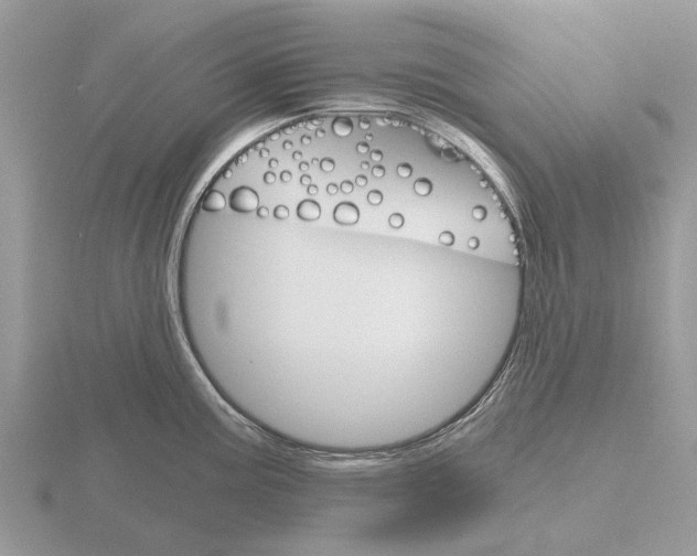 X0000115701195200912101208