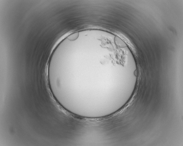 X0000115701198200912101208