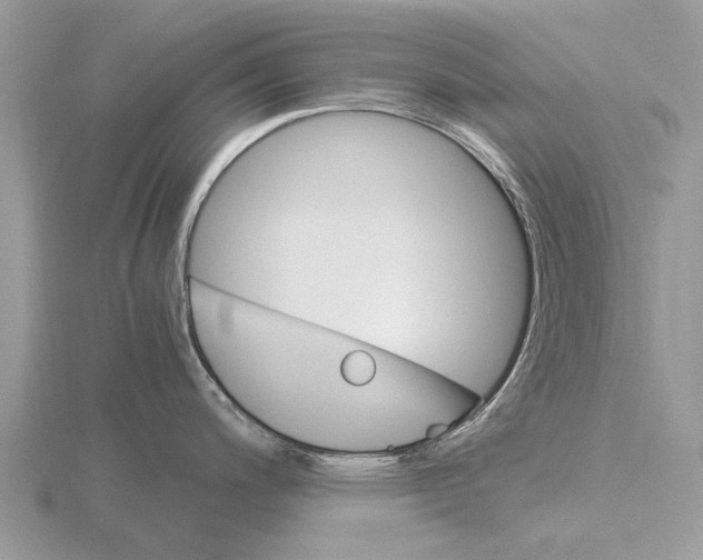 X0000115701200200912101208