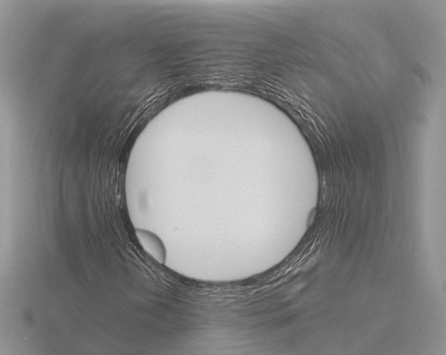 X0000115701202200912101207