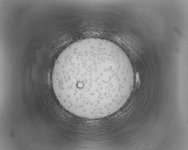 X0000115701203200912101207