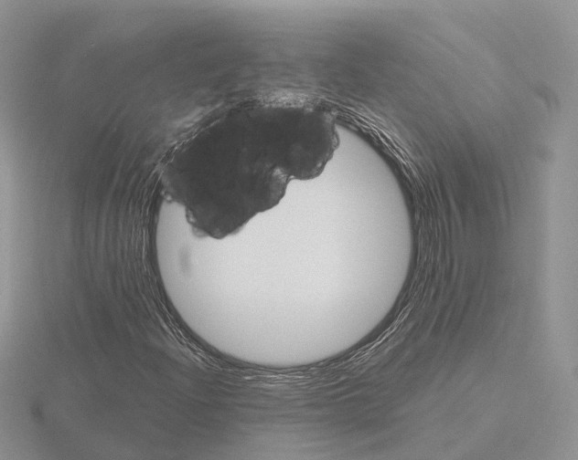 X0000115701204200912101207