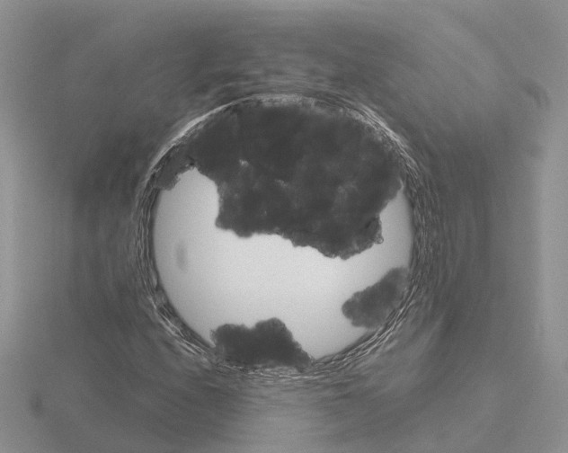 X0000115701208200912101207