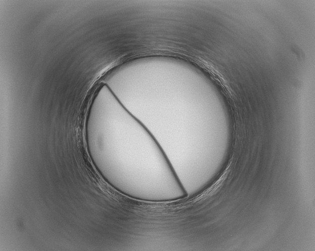 X0000115701210200912101207