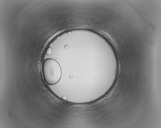 X0000115701212200912101207