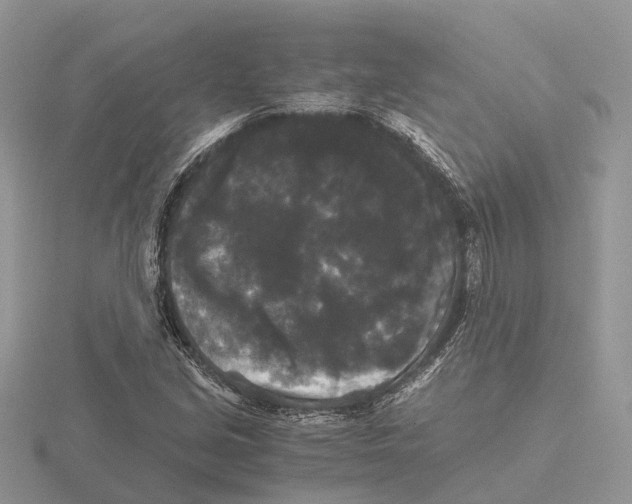 X0000115701213200912101208